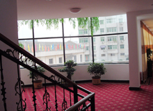 DSC00173.jpg
