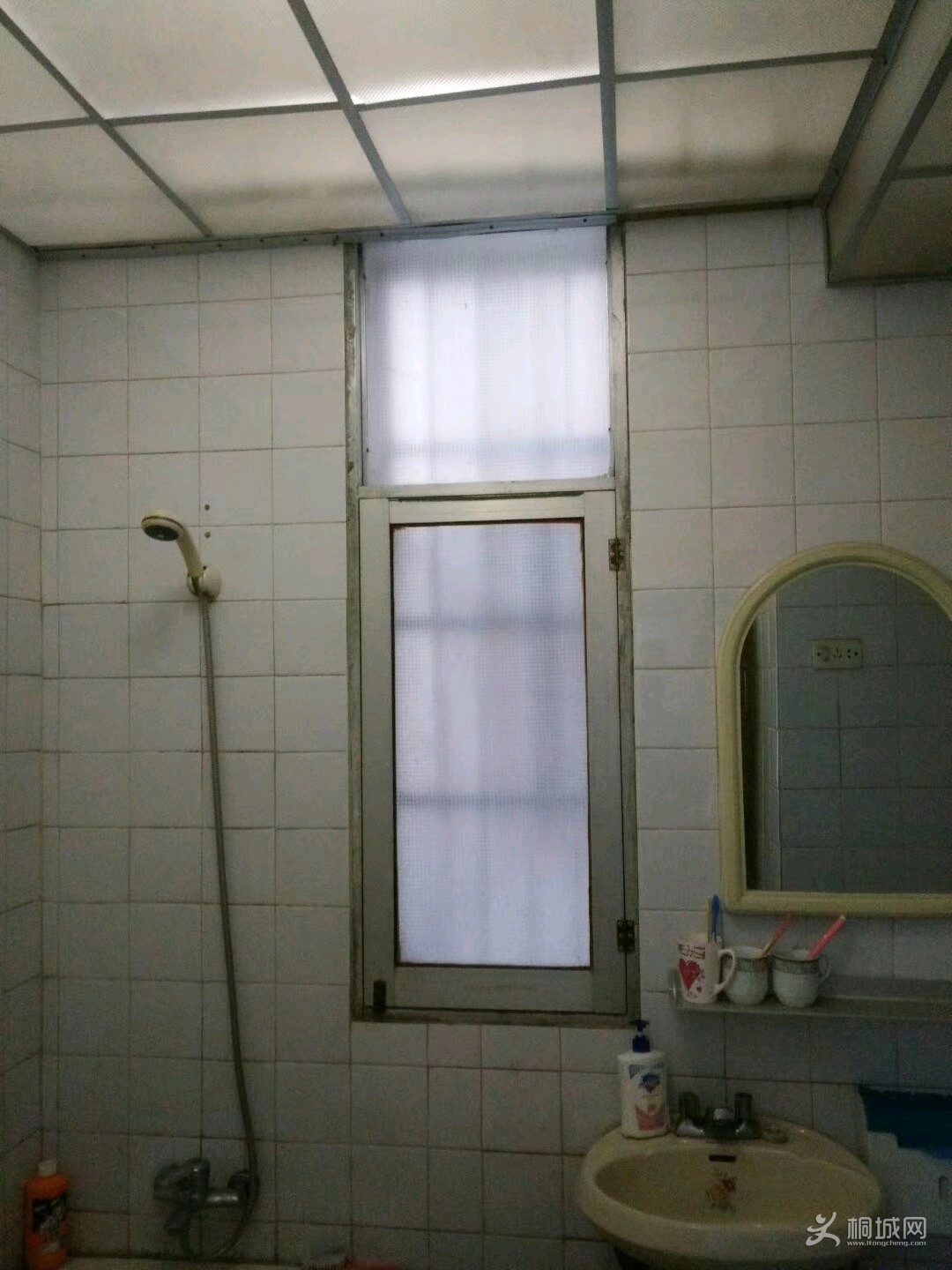 IIgBRLcN6RNE.jpg