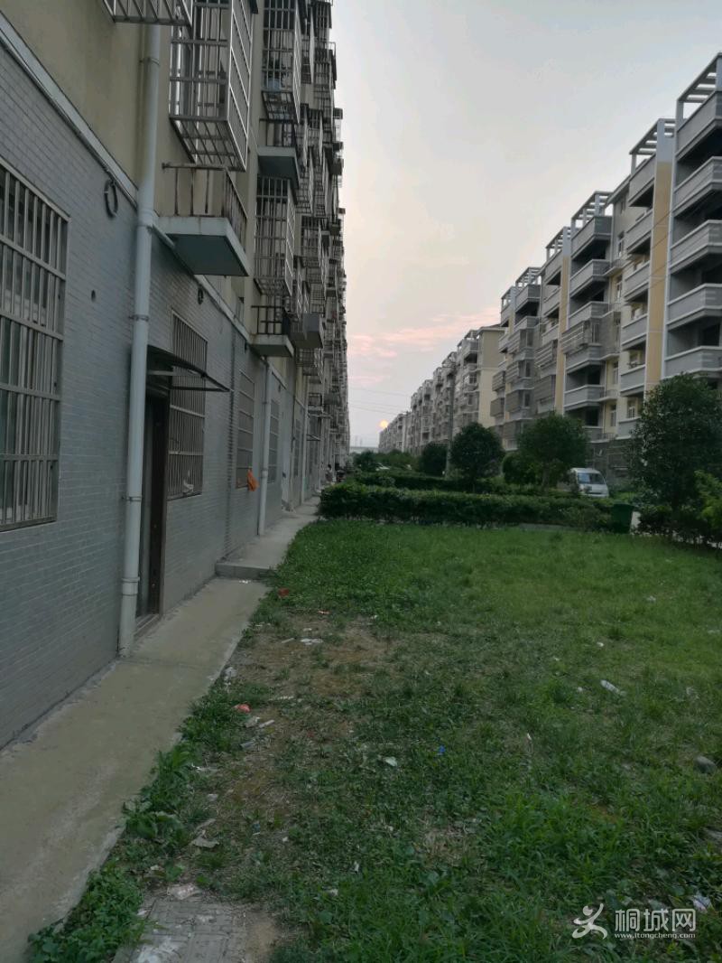 IMG_20180701_185916.jpeg