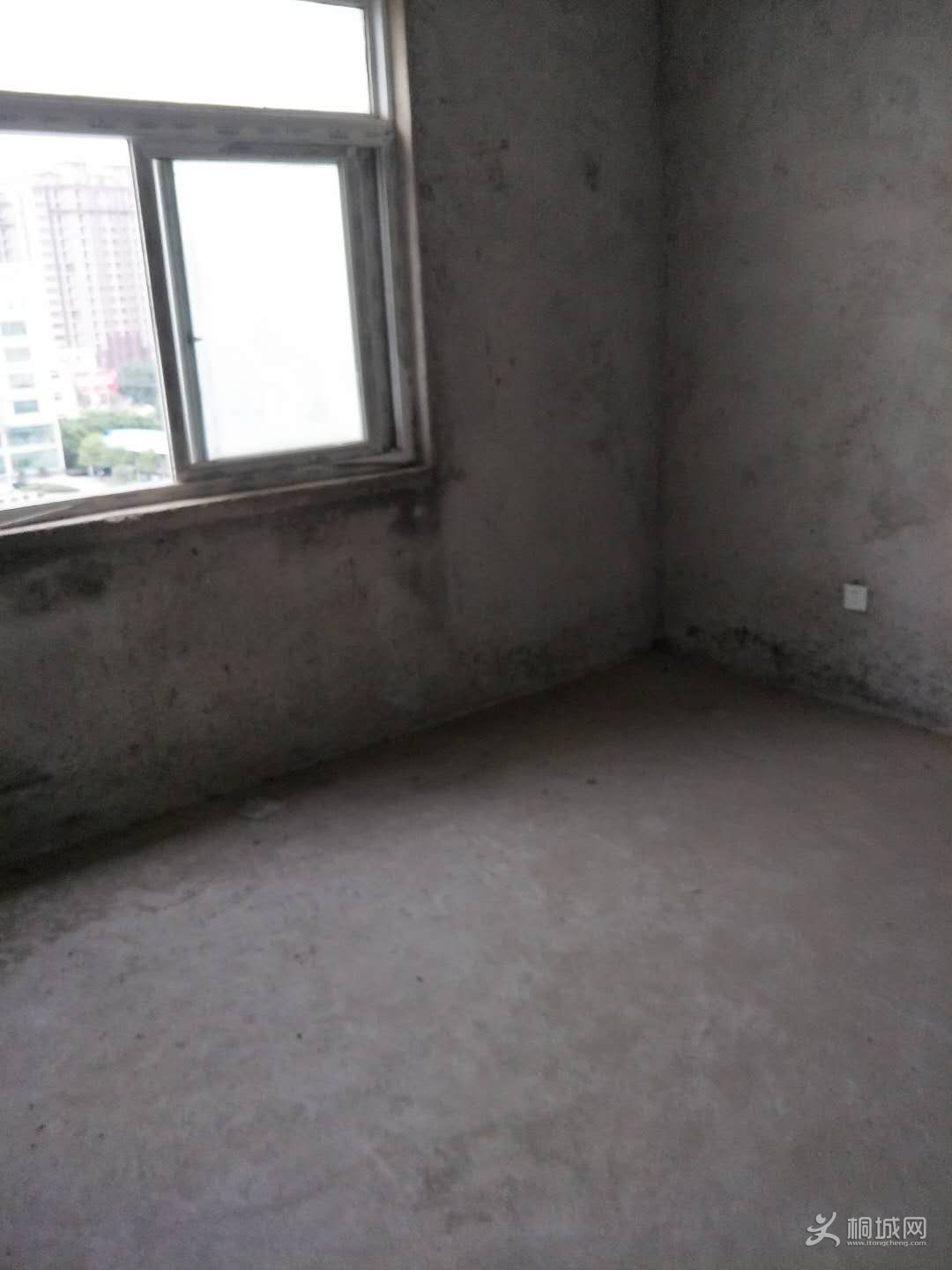 609767864943027652.jpg