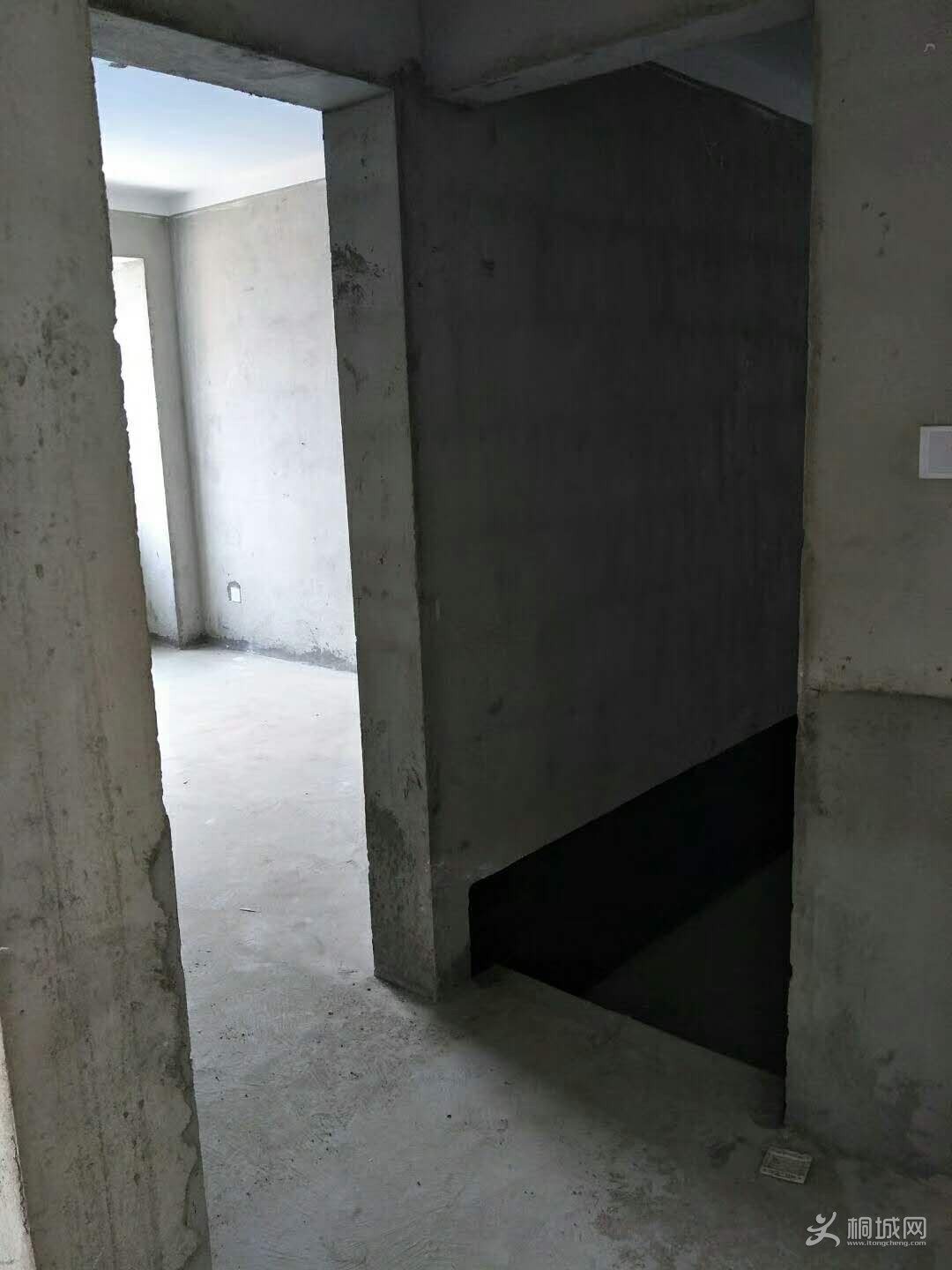 65168428938383619.jpg