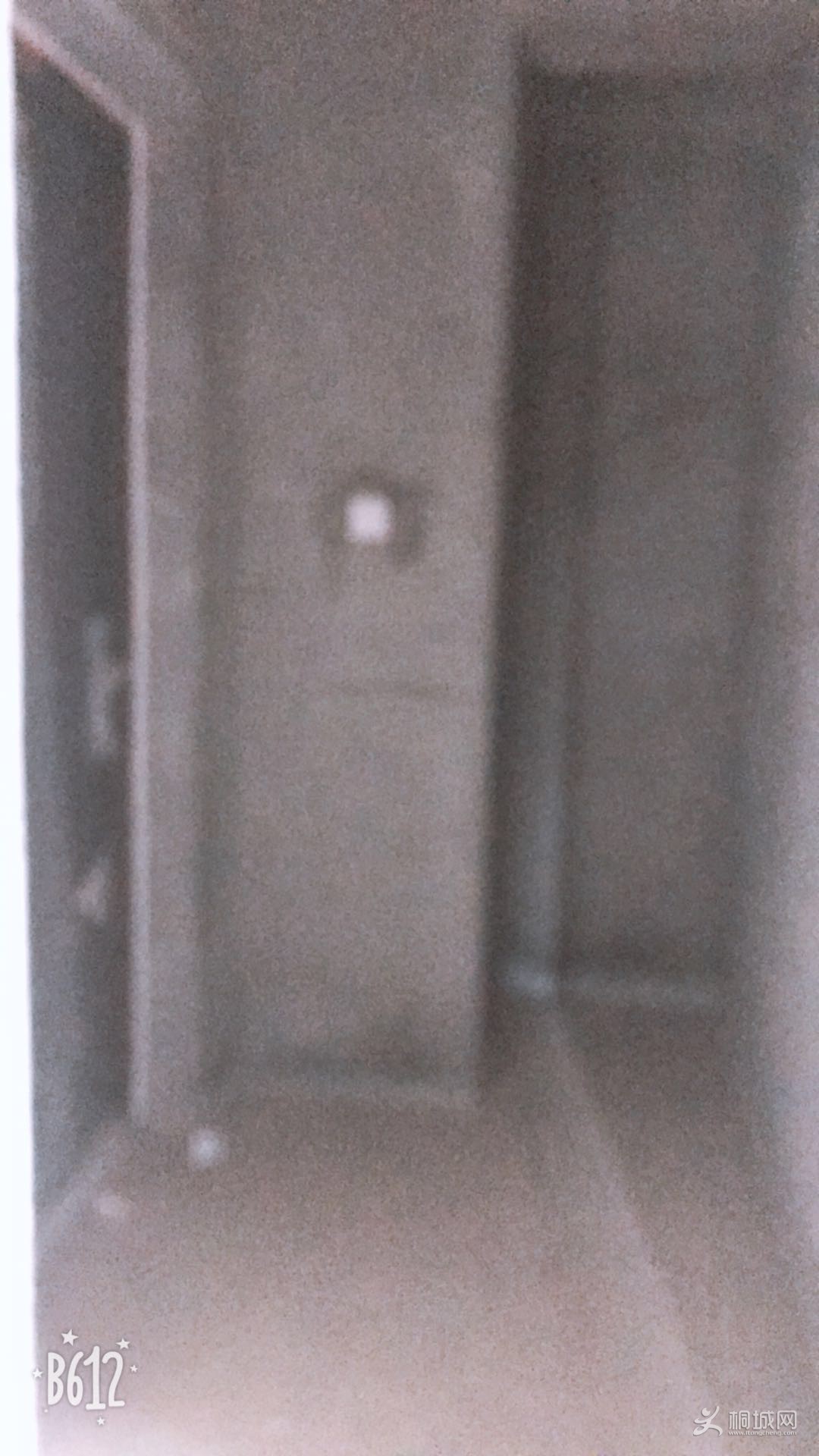 3899643251898904.jpg