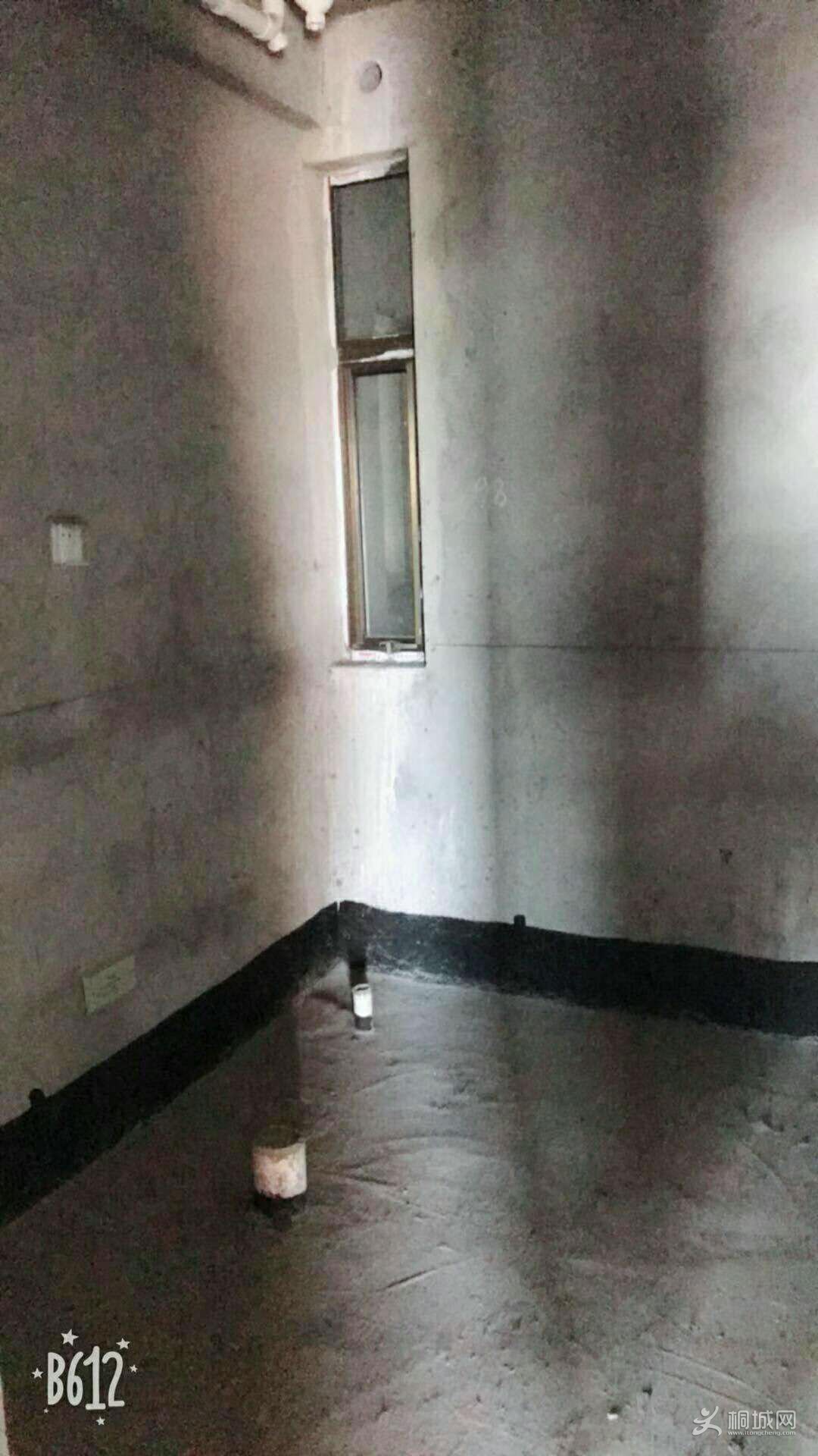 795048859836787067.jpg