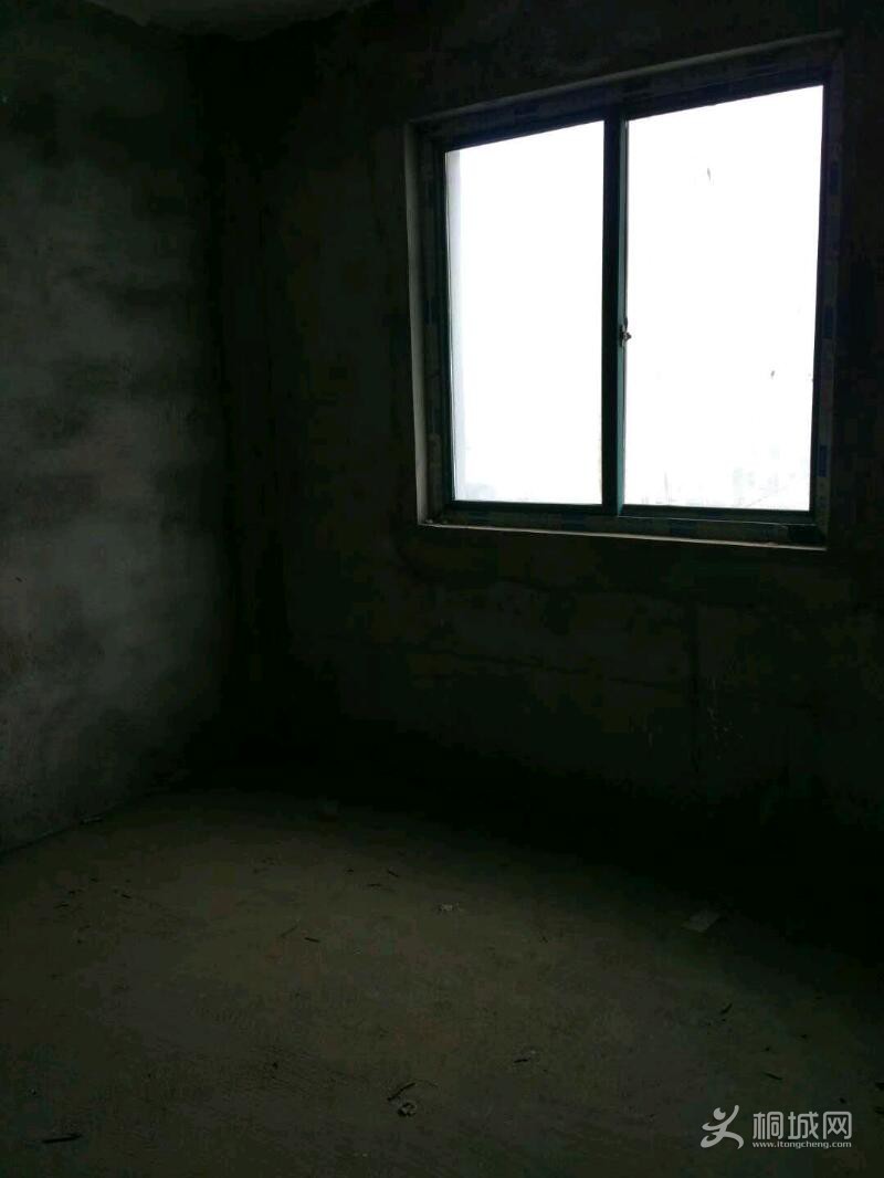 mmexport1532245006272.jpeg