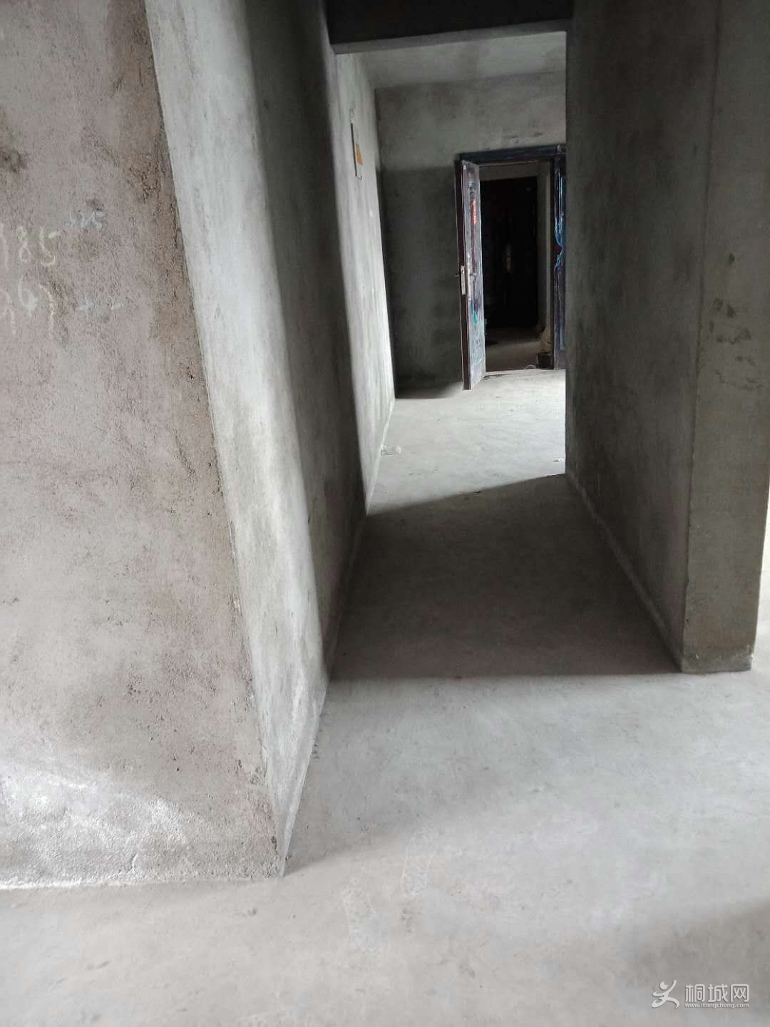 8179426976134138.jpg