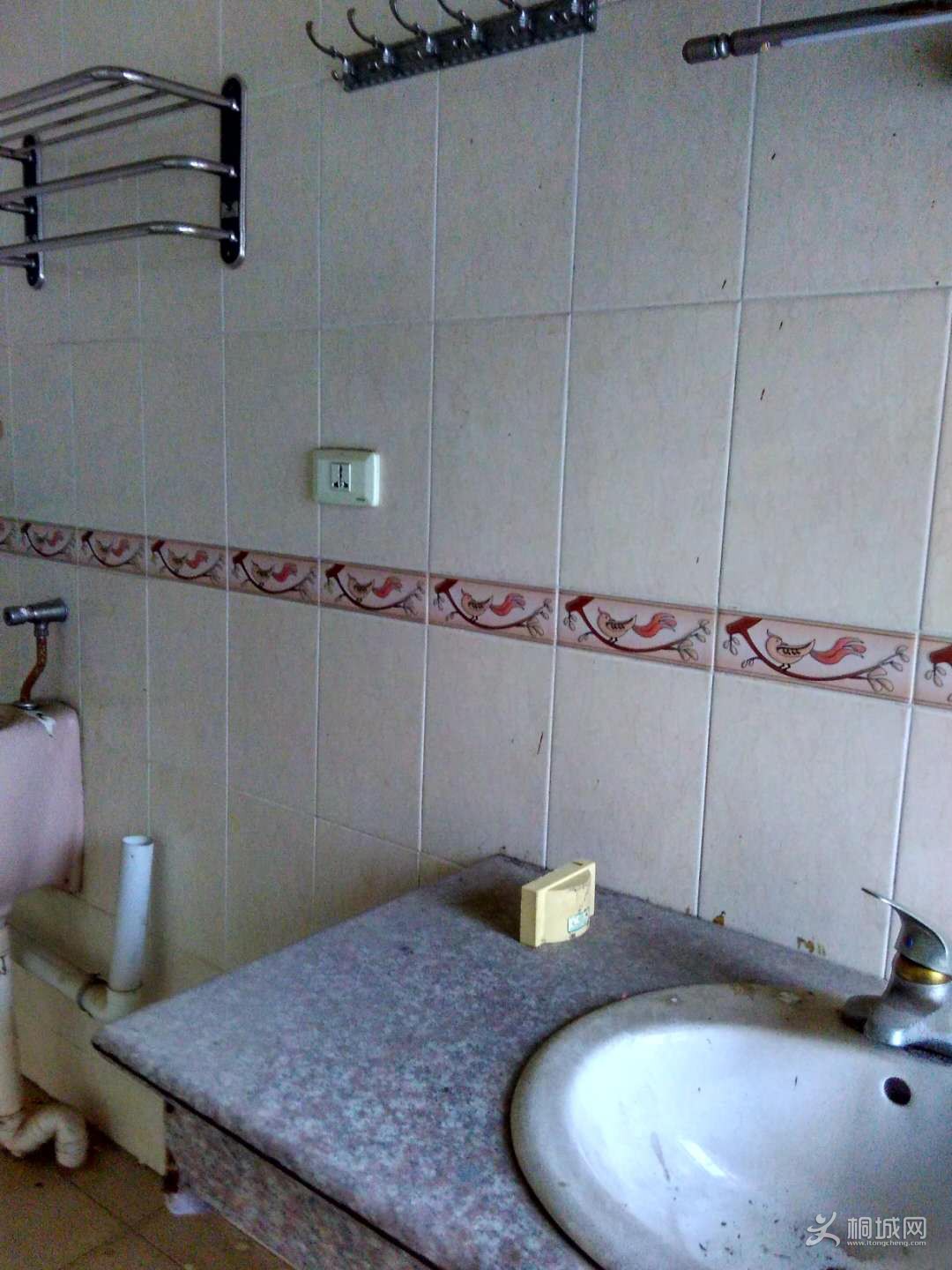 374217492764186242.jpg