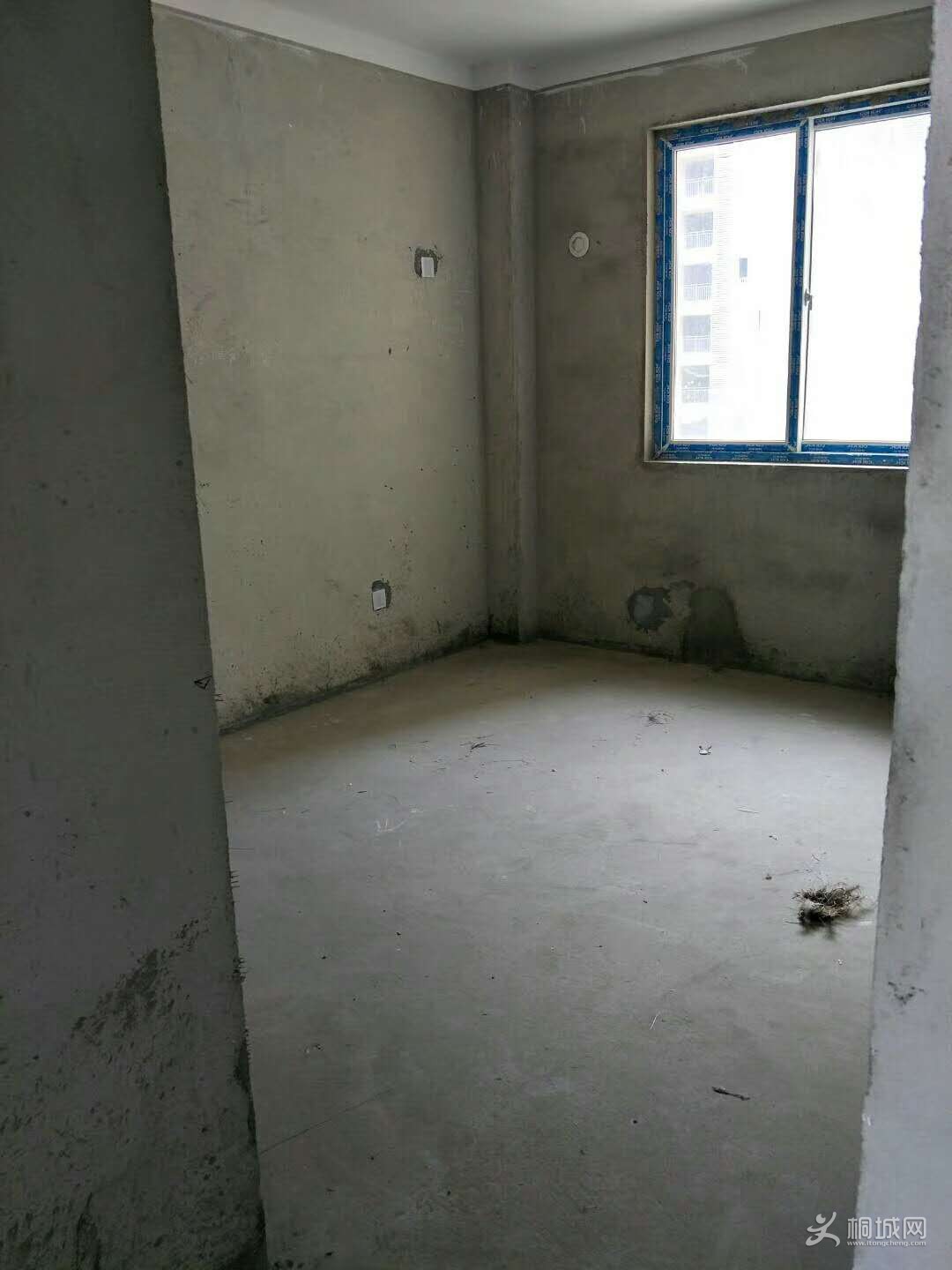 895248226570396055.jpg
