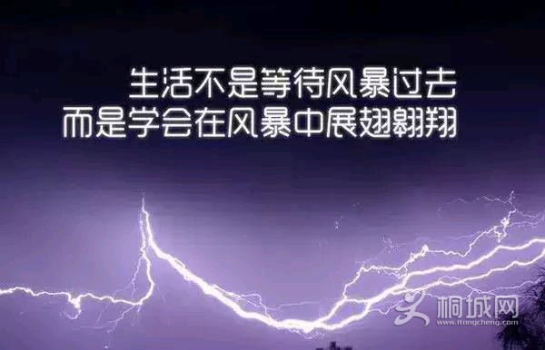 db8a13945309d9744ff3369babf88eb1.jpeg