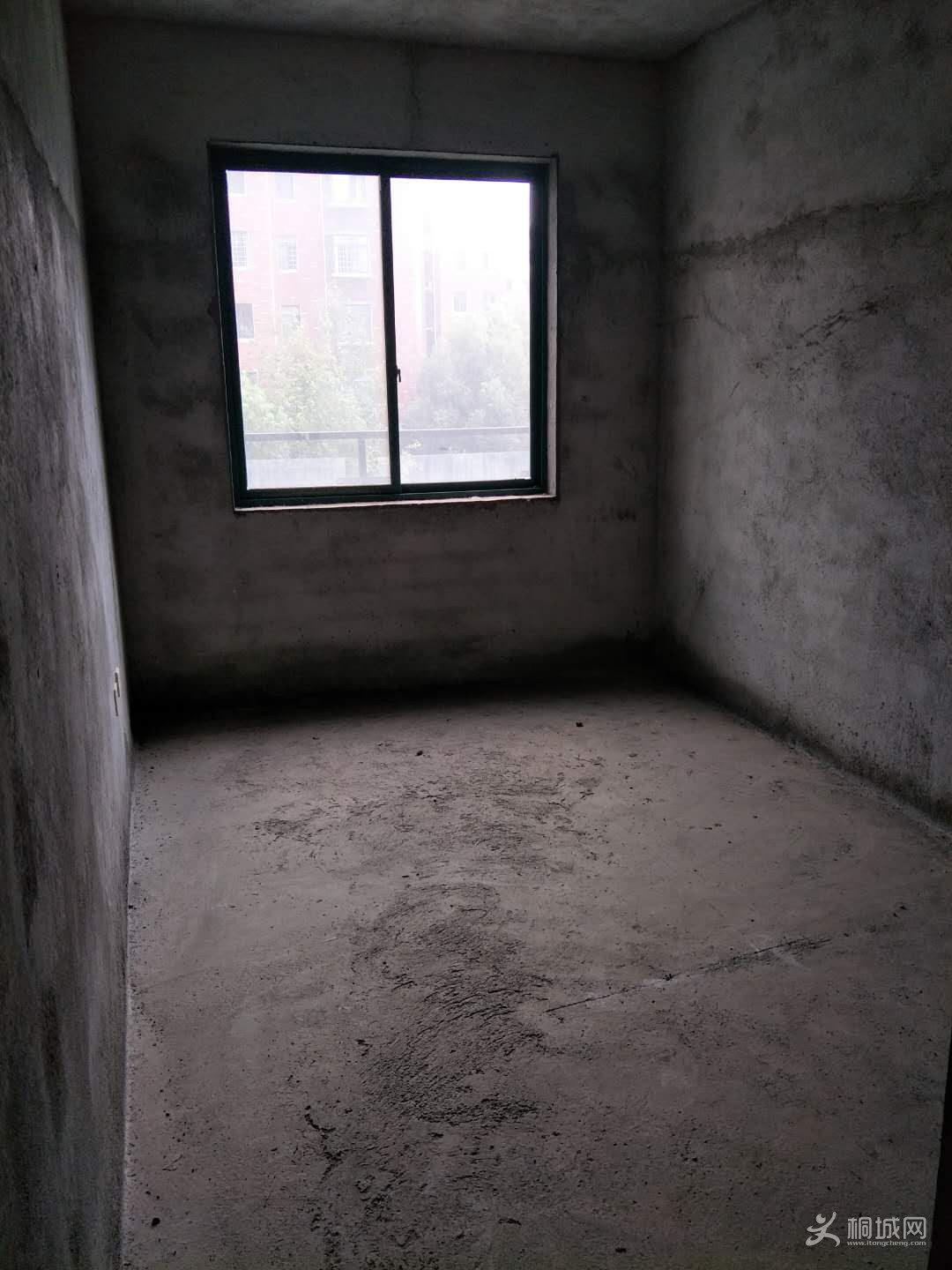 99540376825666313.jpg
