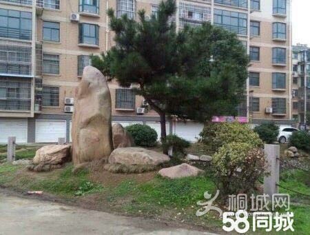 image_edit_1.png
