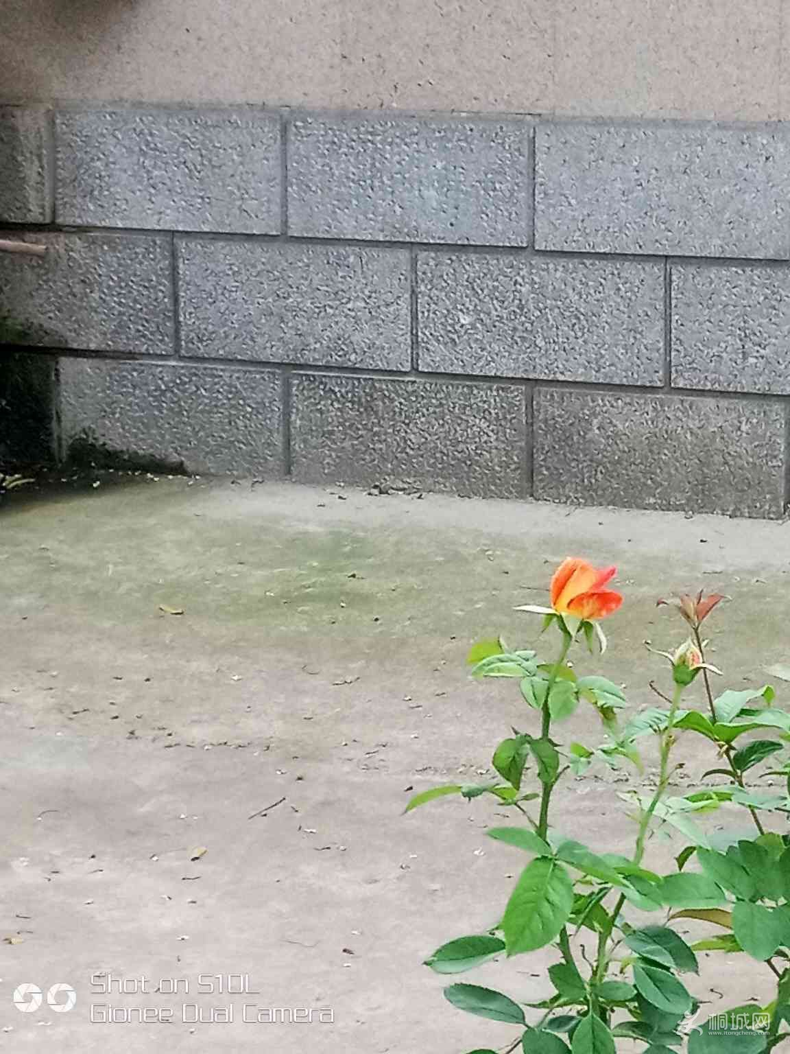 lQmXmXwMm1F0.jpg