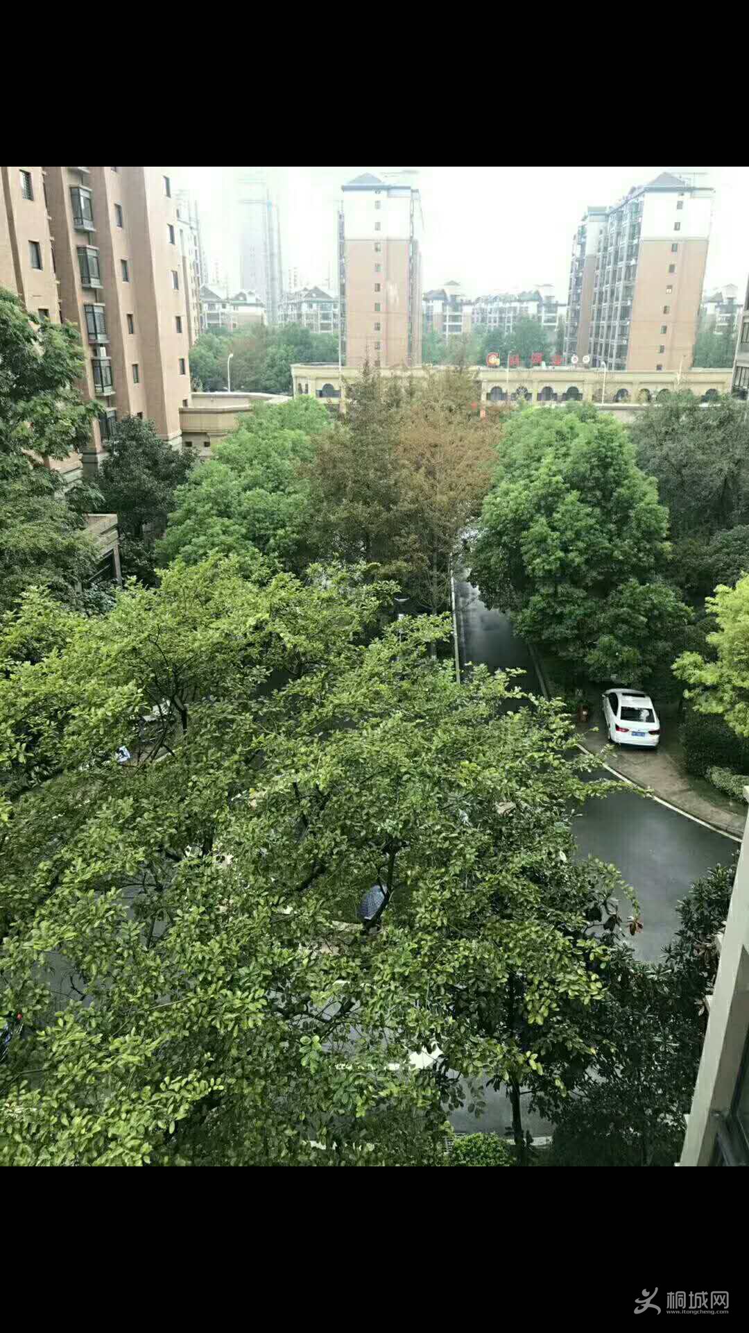 ΢��ͼƬ_20180901165212.jpg