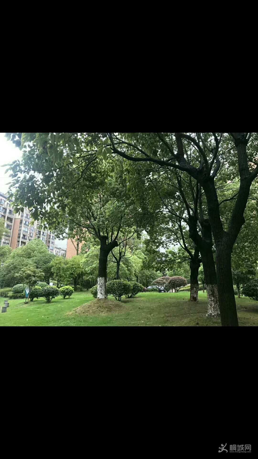 ΢��ͼƬ_20180901165320.jpg