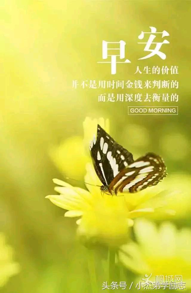 47f966ebe5a0880bce2f083cf91ca1a4.jpeg