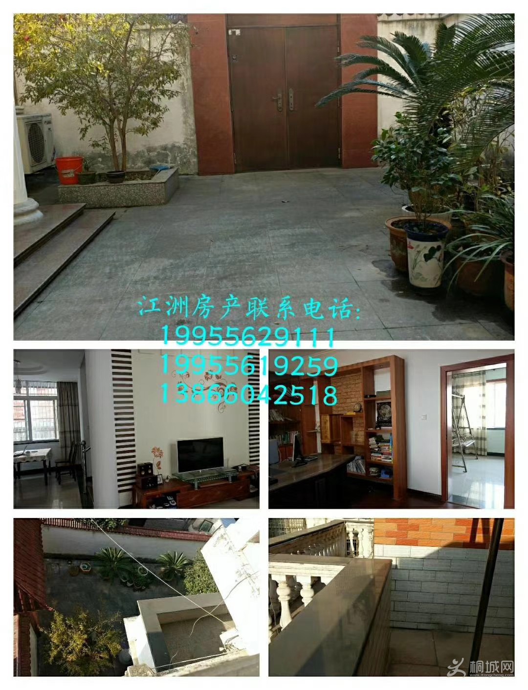 mmexport1530252351108.jpg