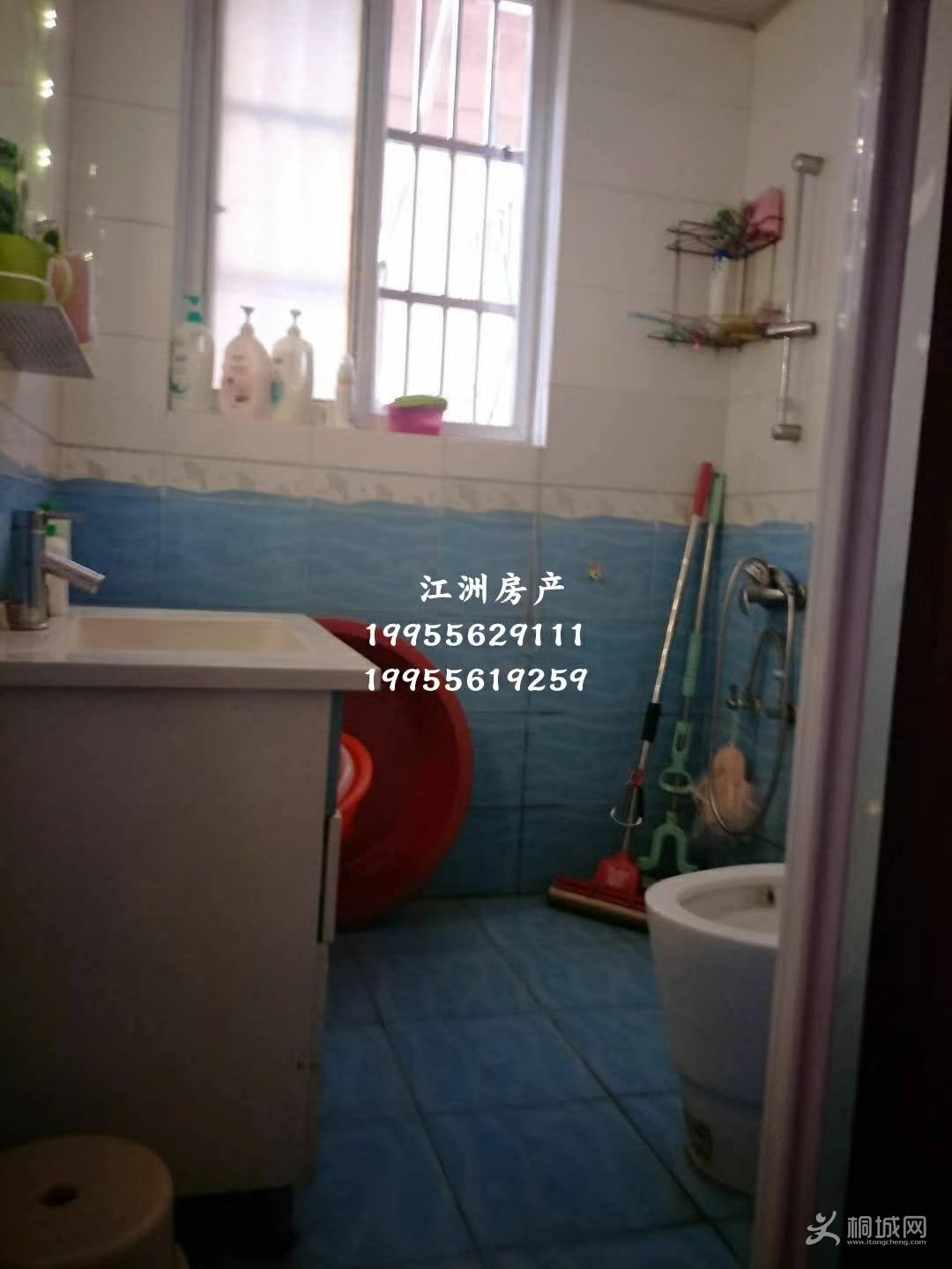mmexport1536319773734.jpg