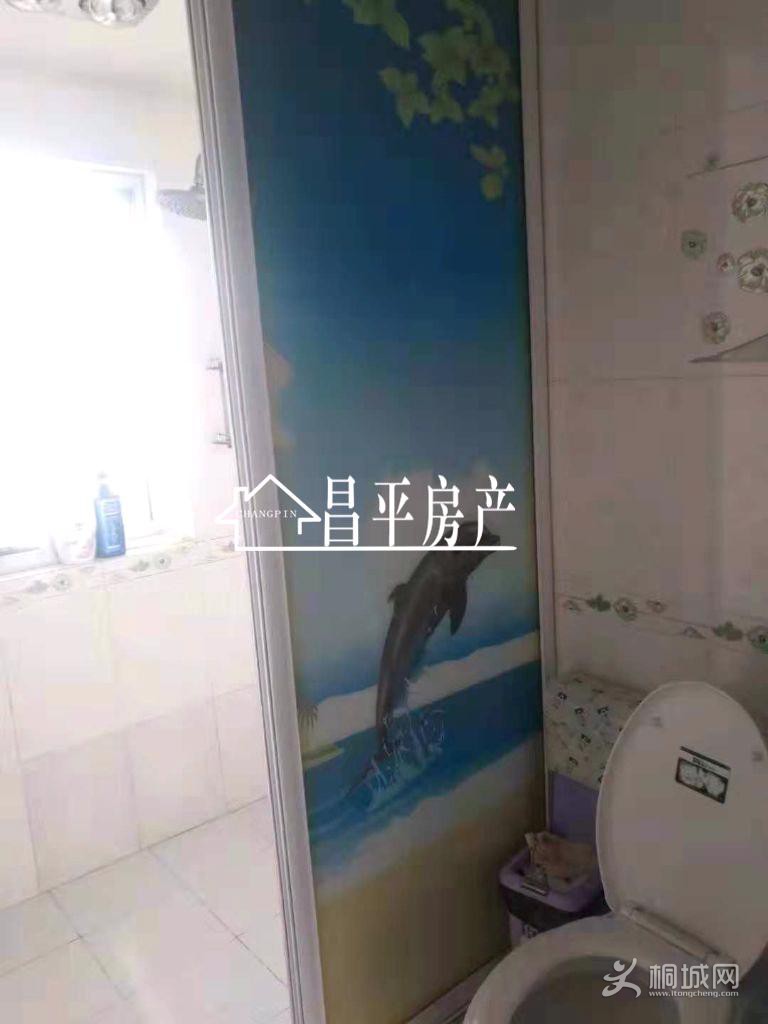 ZyjCJVvbniOEKb5zAAAAAD0ItCg209.jpg