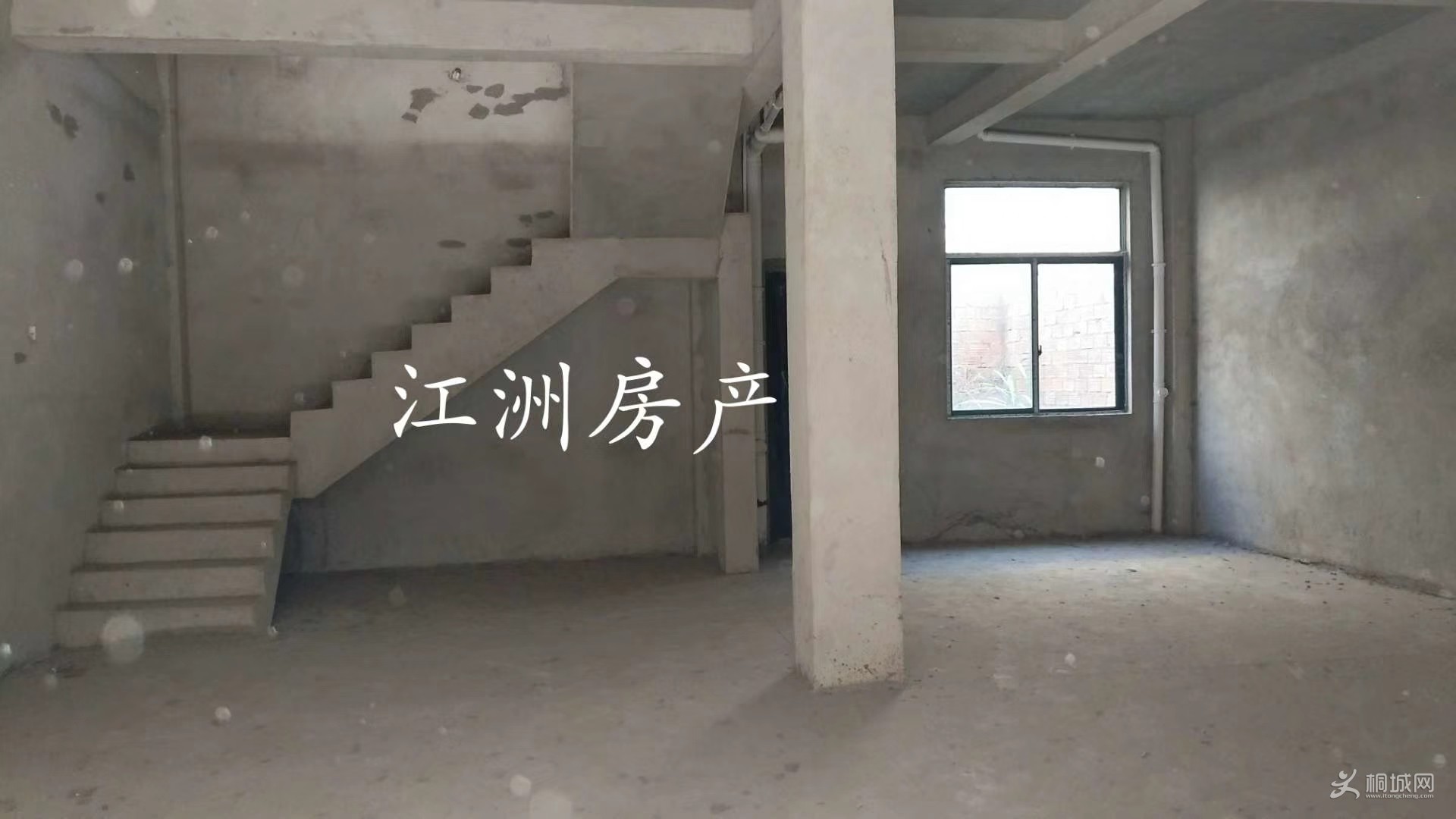 mmexport1541388054668.jpg