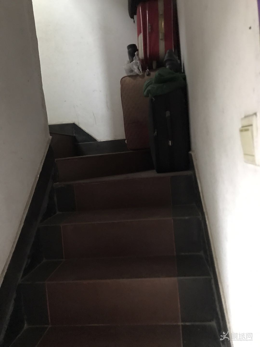 475952483744028477.jpg