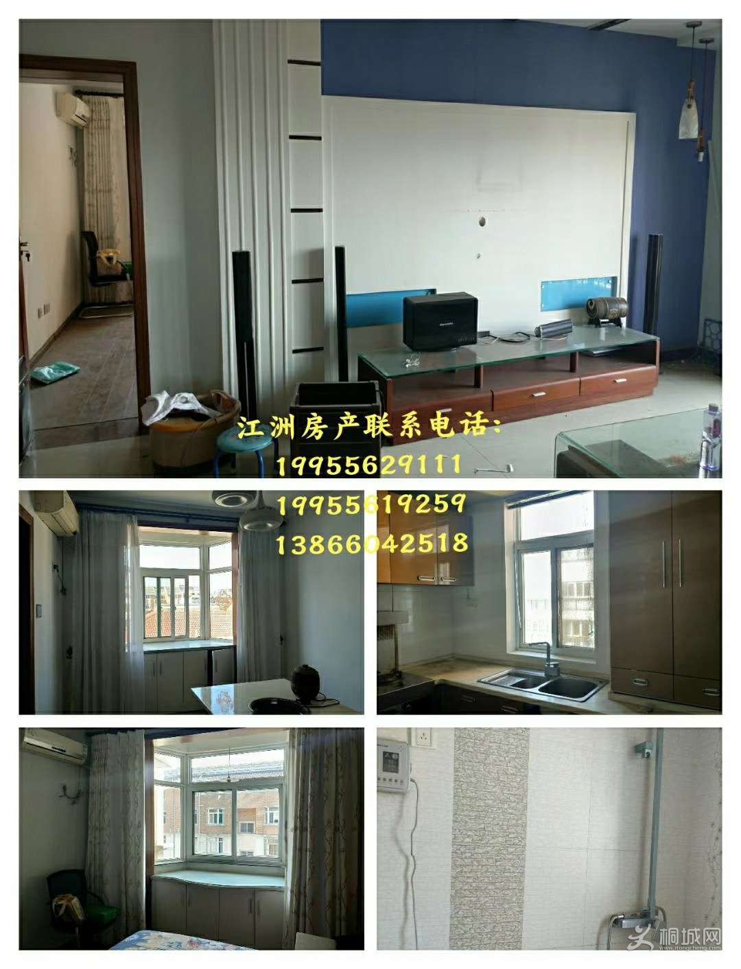 mmexport1541571391474.jpg