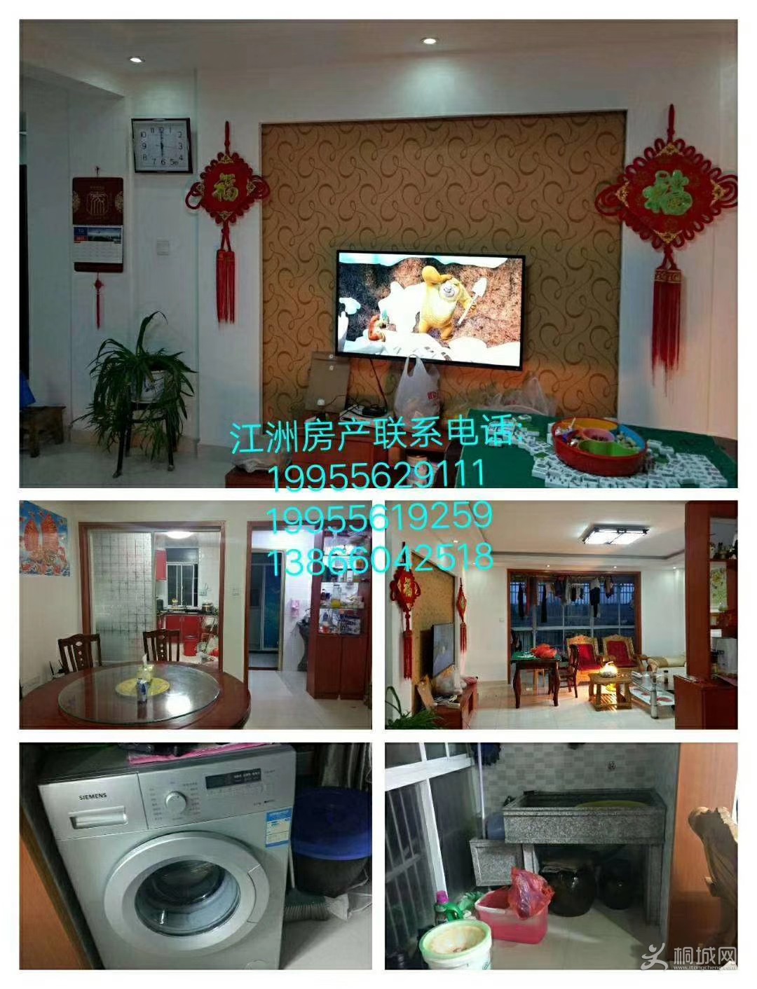 mmexport1541815541181.jpg