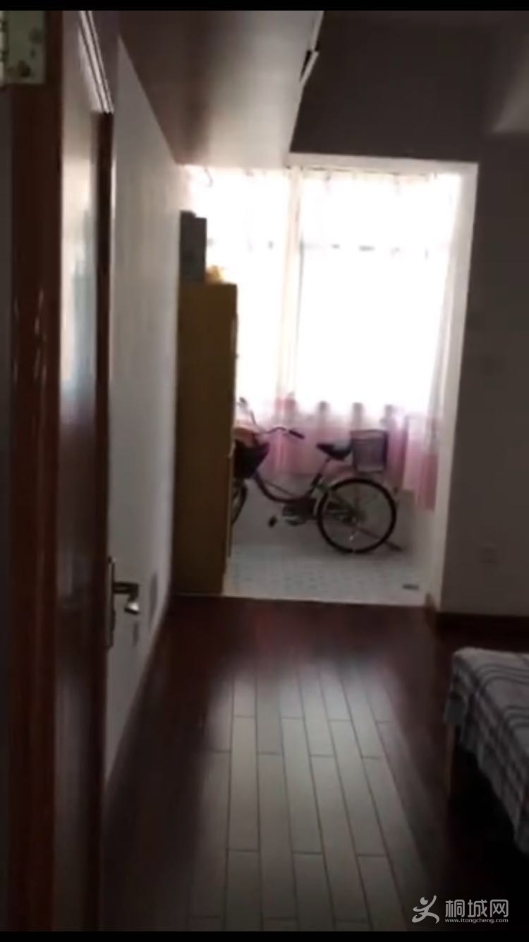 368656578348172281.jpg