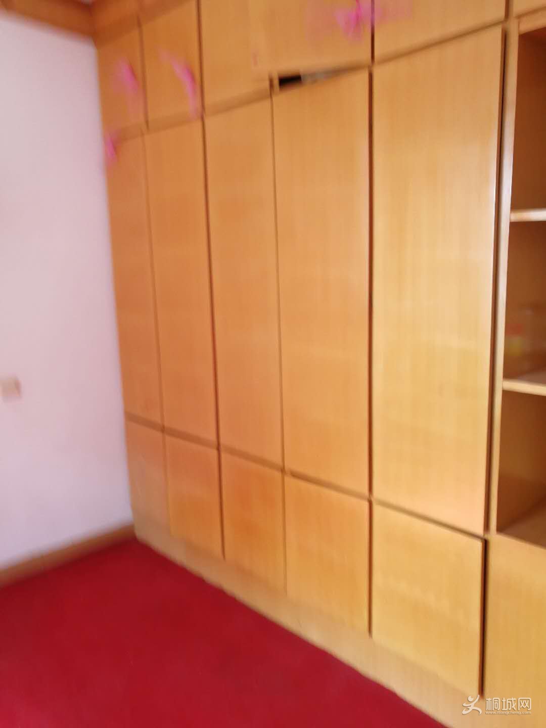 mmexport1542089206609.jpg