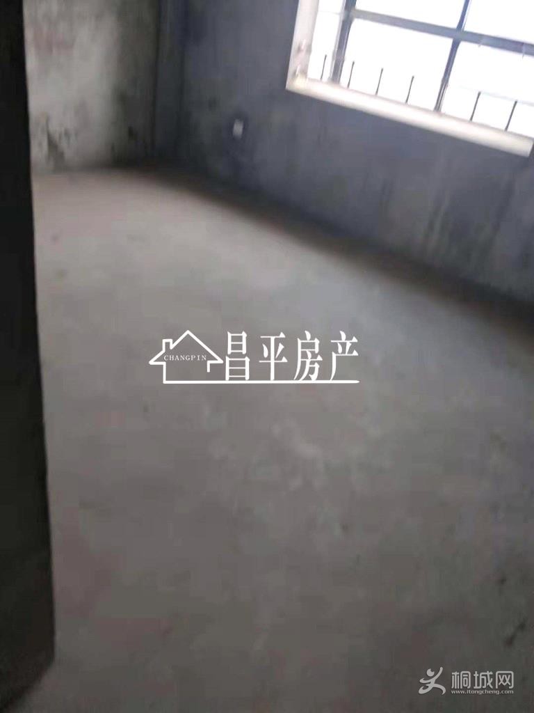ZyjCSlvqhB6ECbLyAAAAAPZeCL4270.jpg