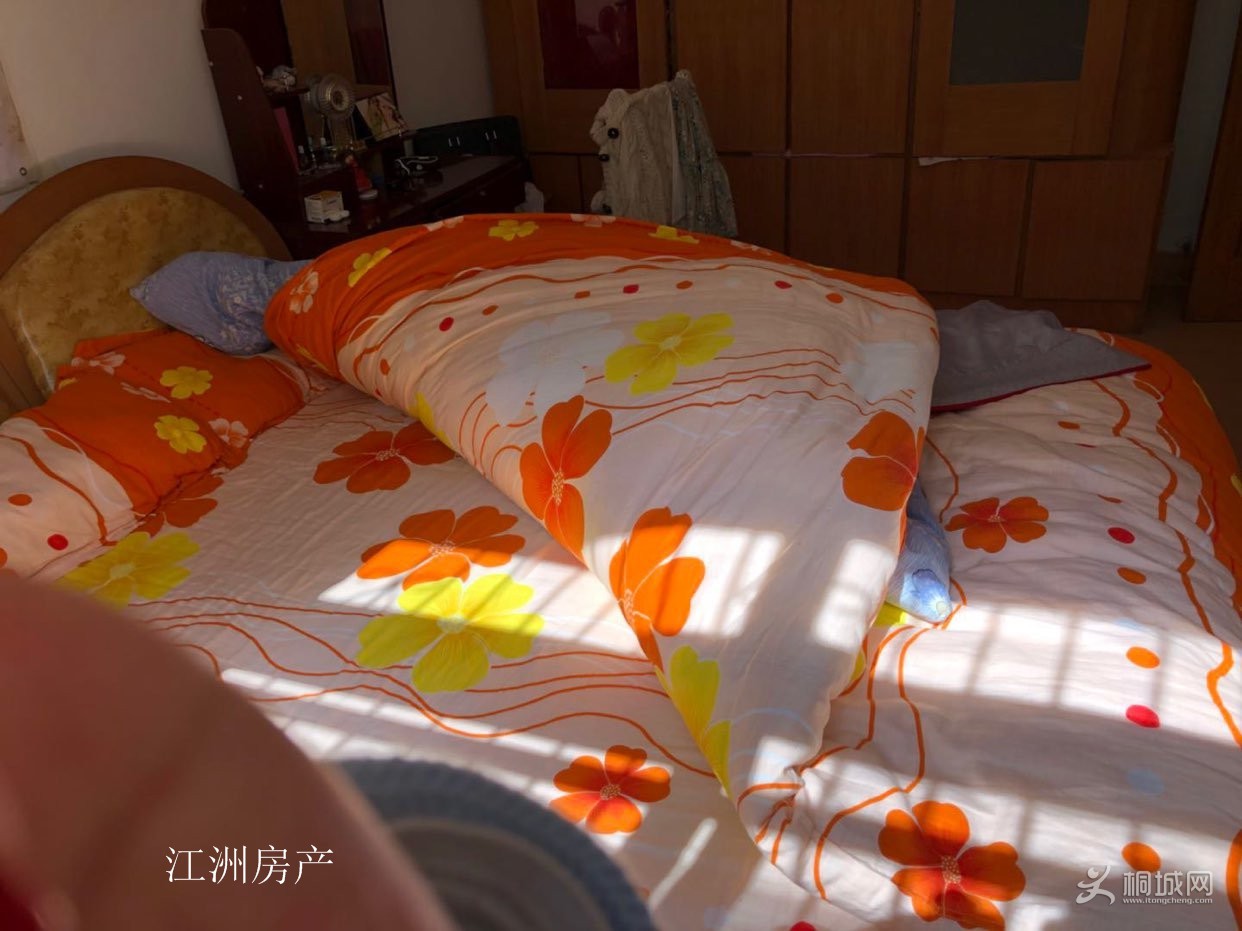 n_v2fd37e128168843a794581bd136a3e81a.jpg