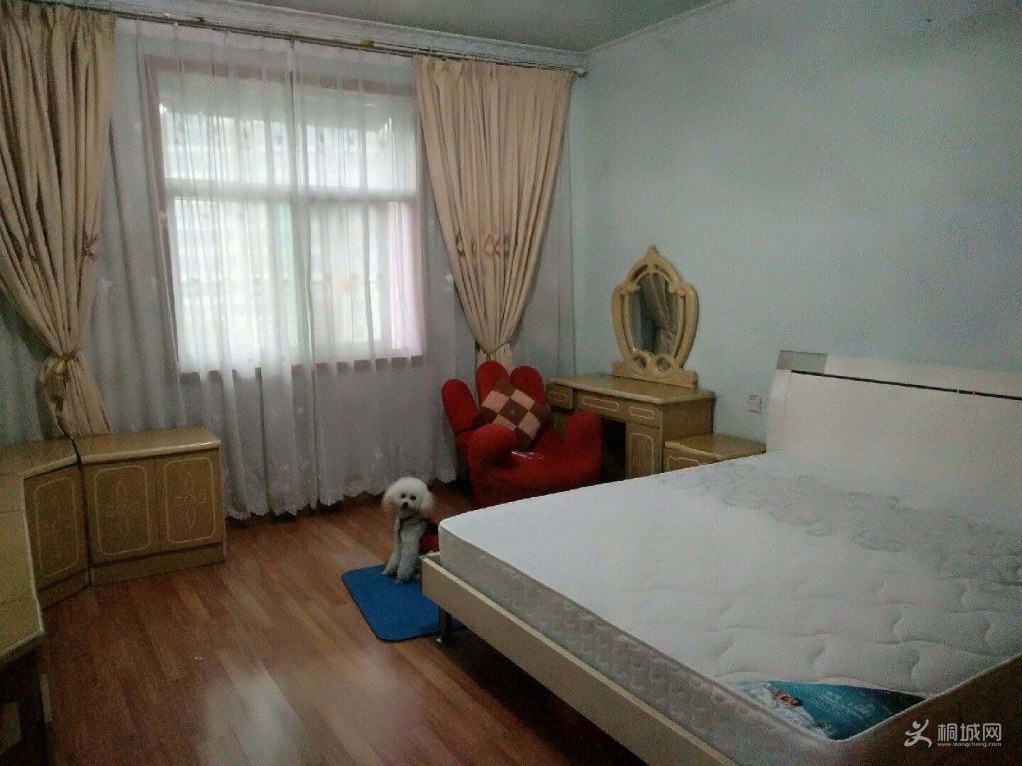 n_v218fadb5687fd4ce981a12c3310a34ac5.jpg