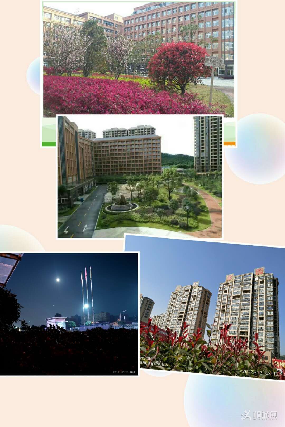 QQͼƬ20180708092745.jpg