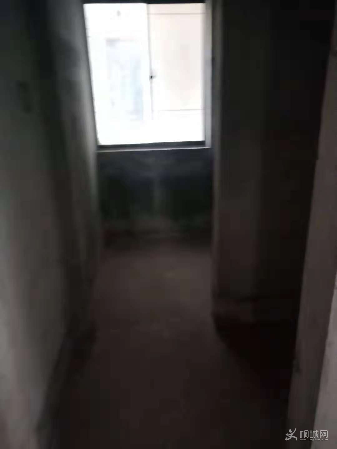 779999994322040308.jpg