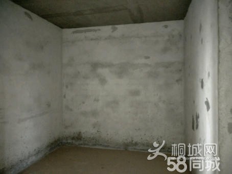 80cad8cd3bbabf48de07adc9e9d5975c.jpg