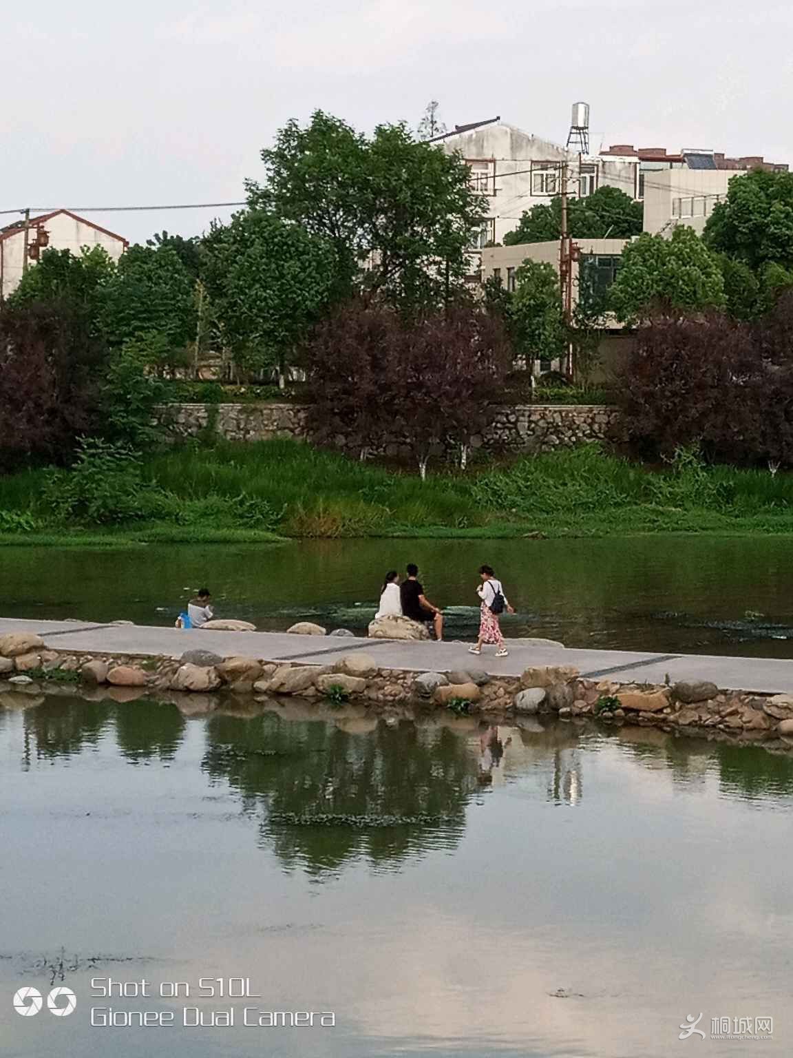 F3JyyZ828y35.jpg