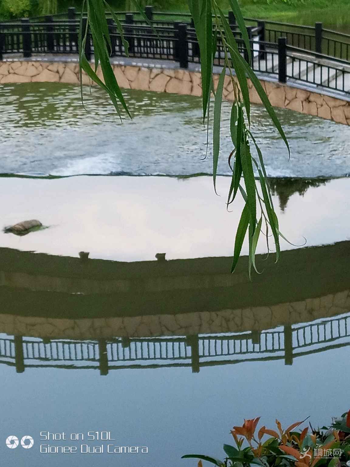 zY55j5YNIy0y.jpg