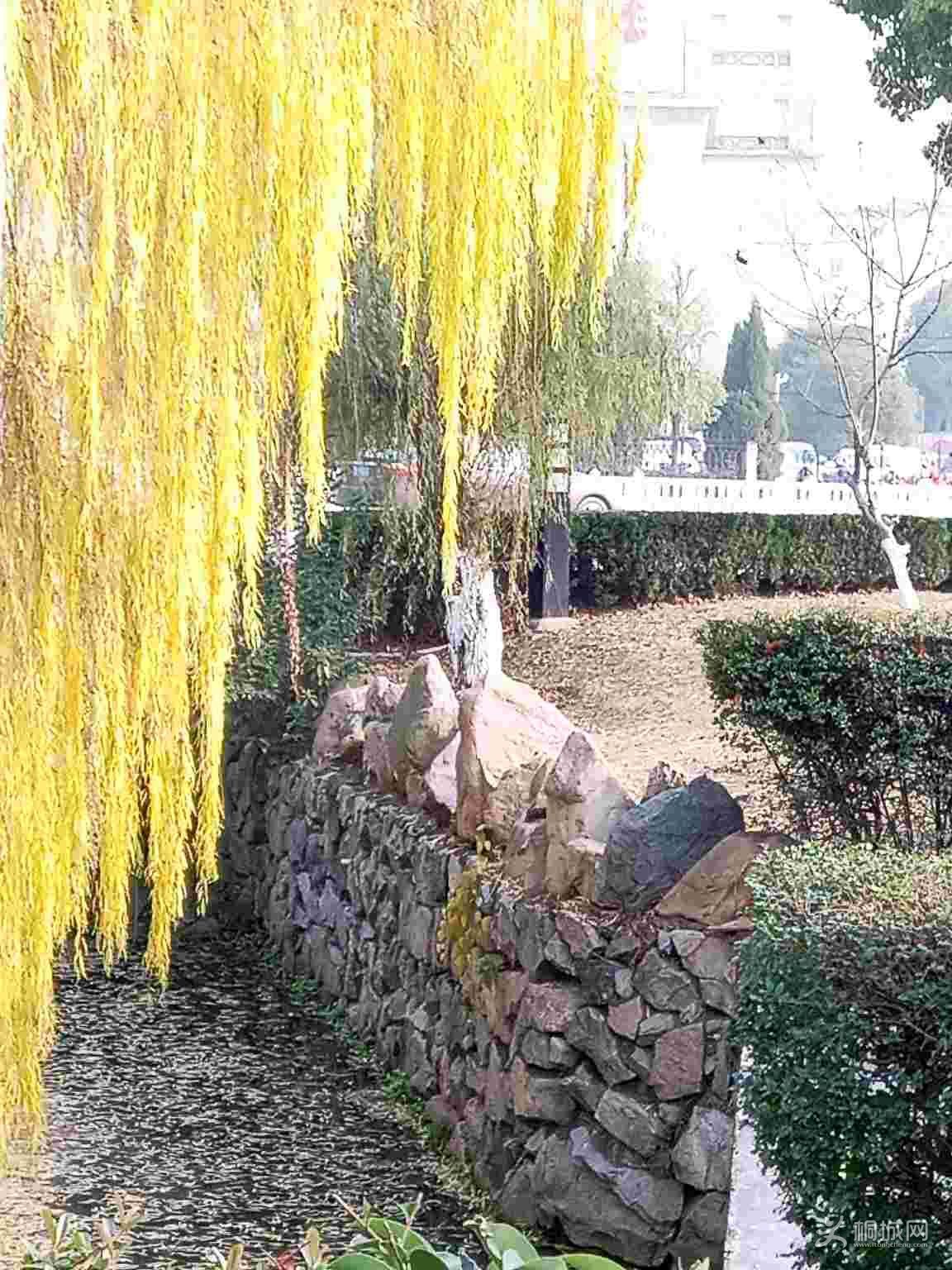 InVnWn09wnYW.jpg