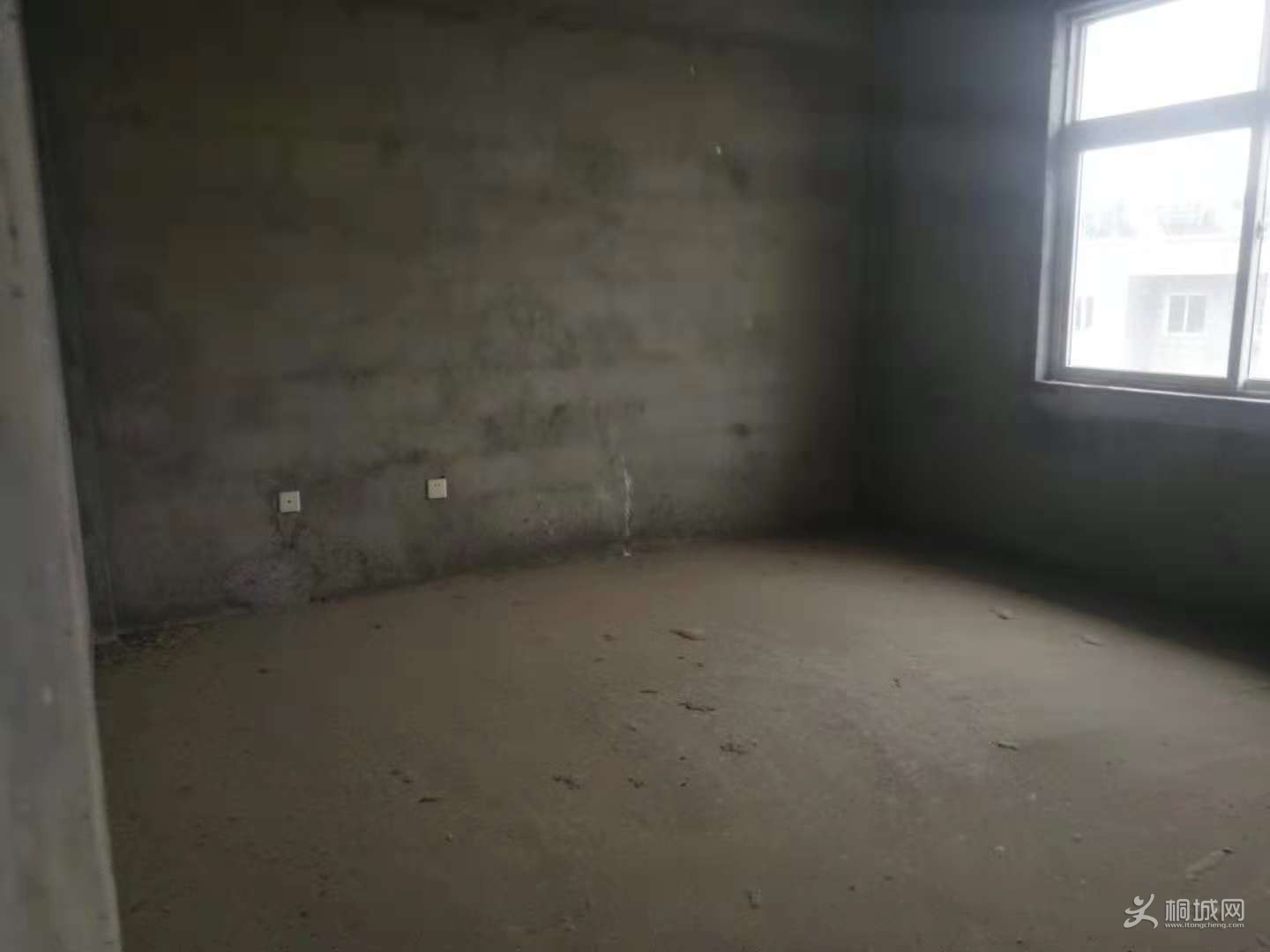 106507783909056240.jpg