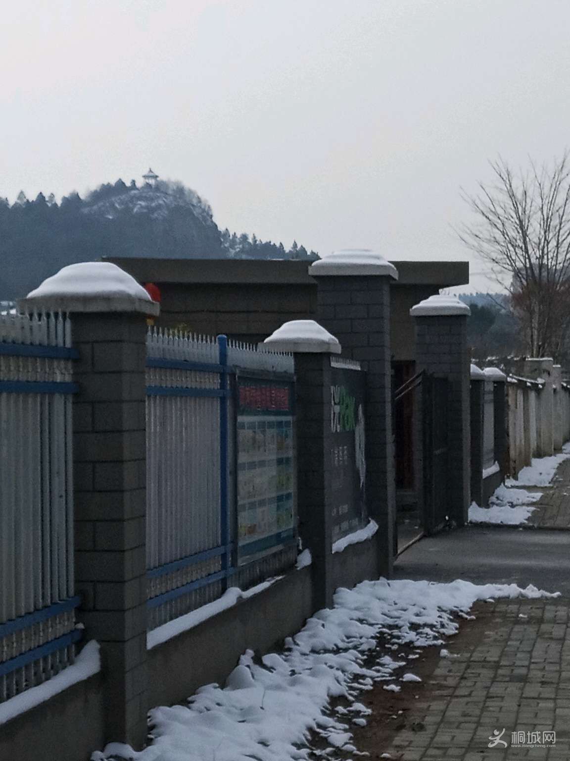 IlI3BzRQeqpu.jpg