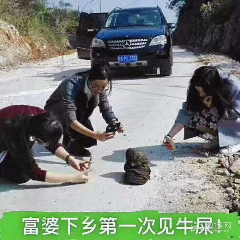 image_edit_4.png