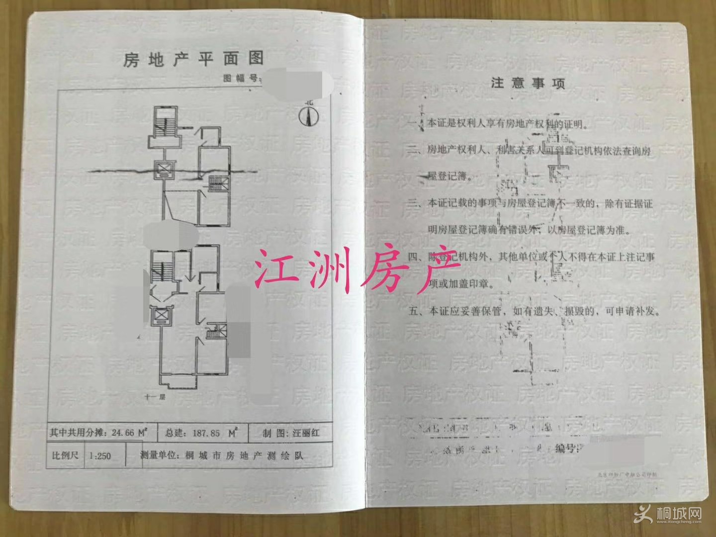 mmexport1547191990081.jpg