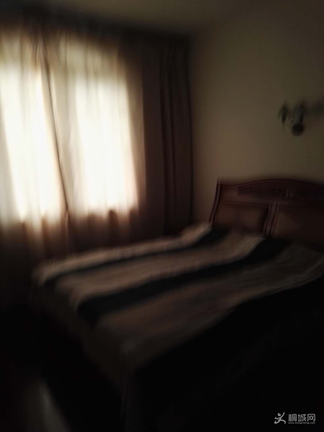 241096595268019704.jpg