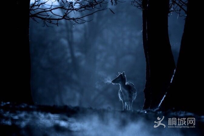 image_edit_5.png