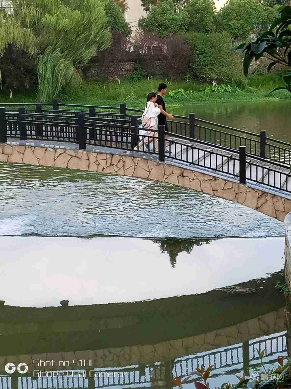 eBw1p99389yO.jpg