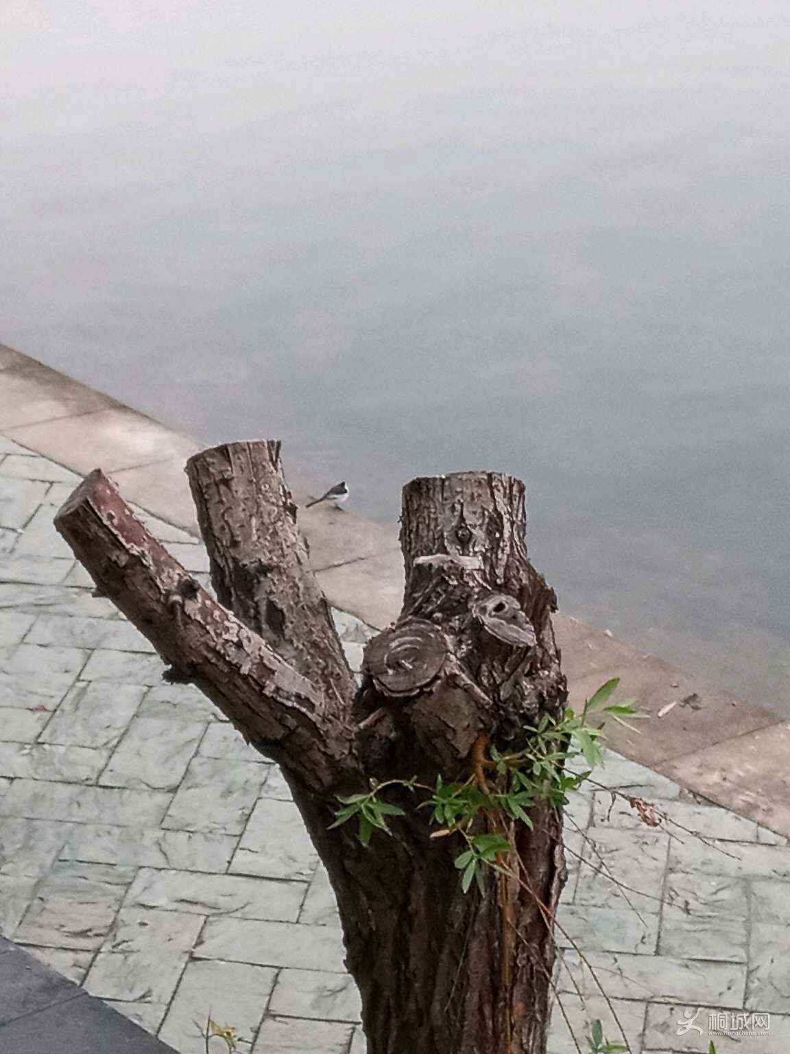 v7REE9DrrGzH.jpg