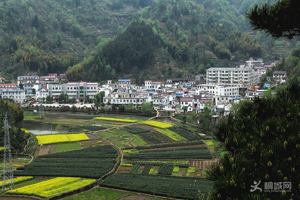  塷.jpg