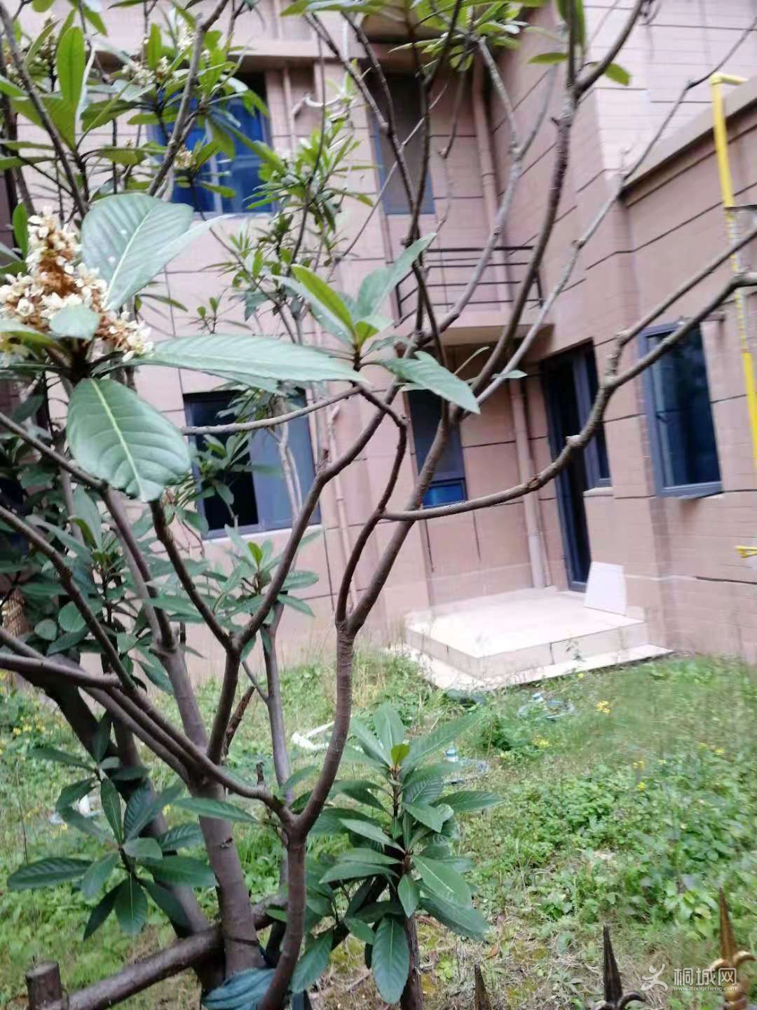 ΢��ͼƬ_20190122160526.jpg