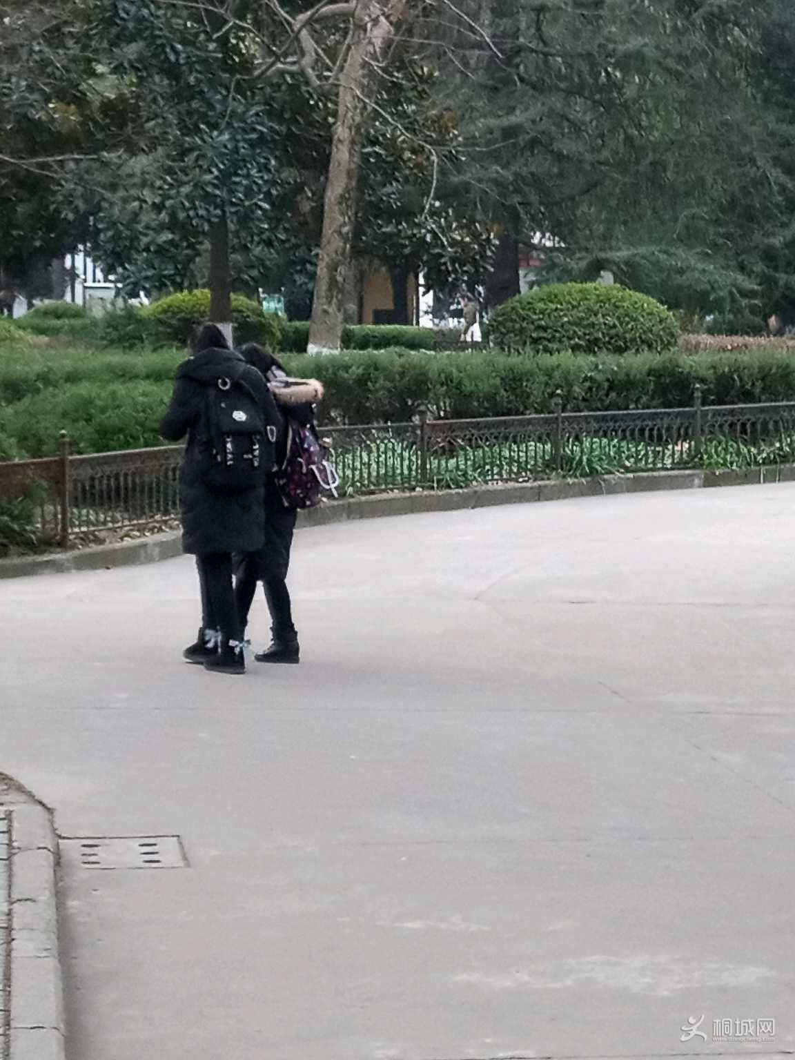 6rNXzi6NrZOi.jpg