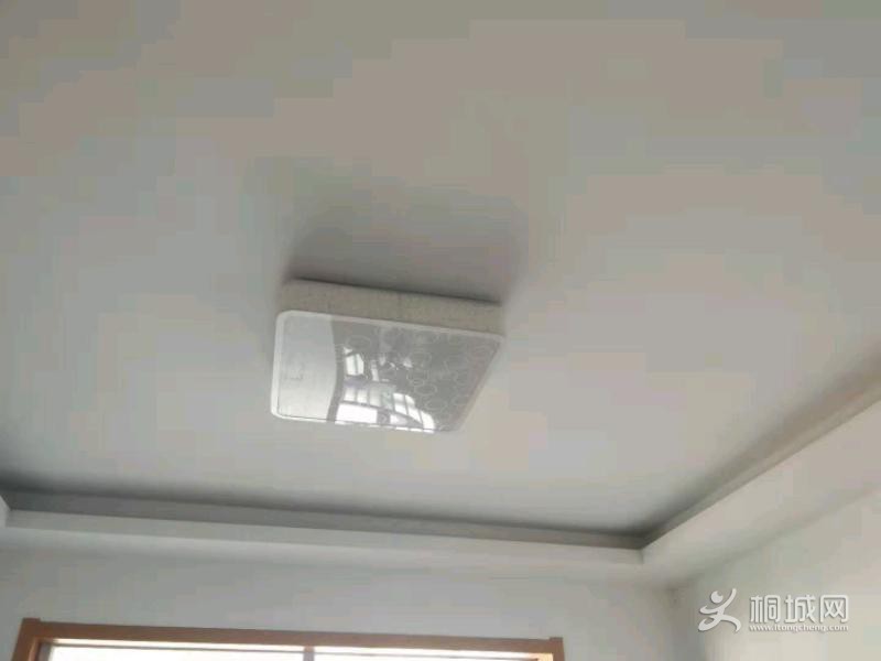 mmexport1550888698298.jpeg
