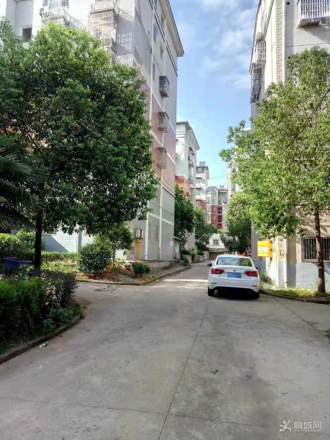 ΢��ͼƬ_20190228154829.jpg