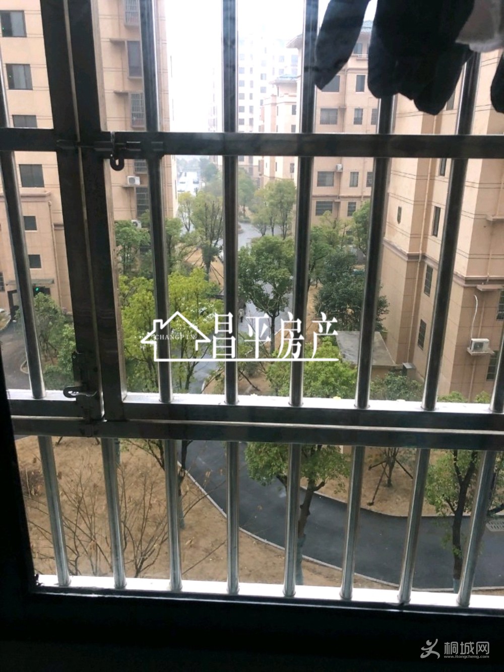 ZyjCHFx4-riAQ1R6AAJ1lxzebuw835.jpg